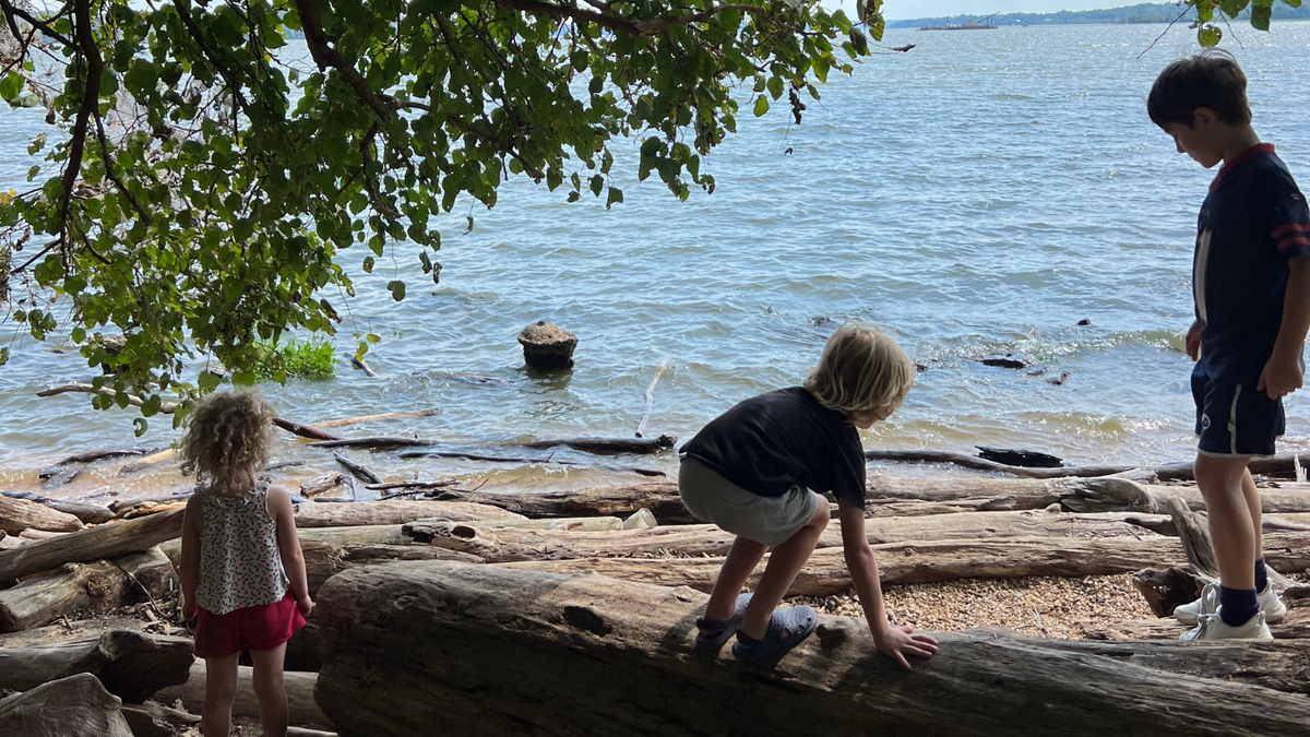 8 Family Resolutions for the New Year