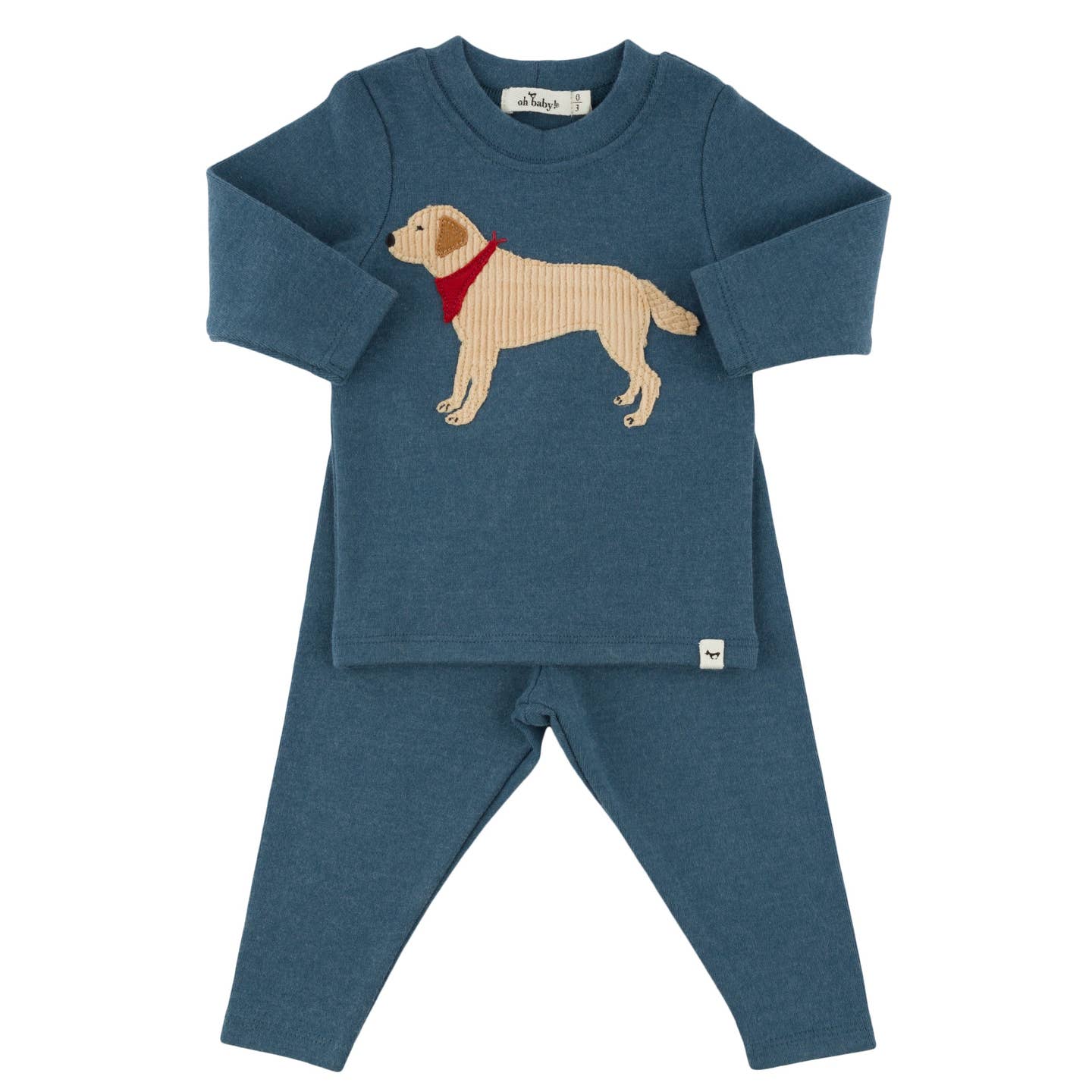 Lab Bandana 2pc Set