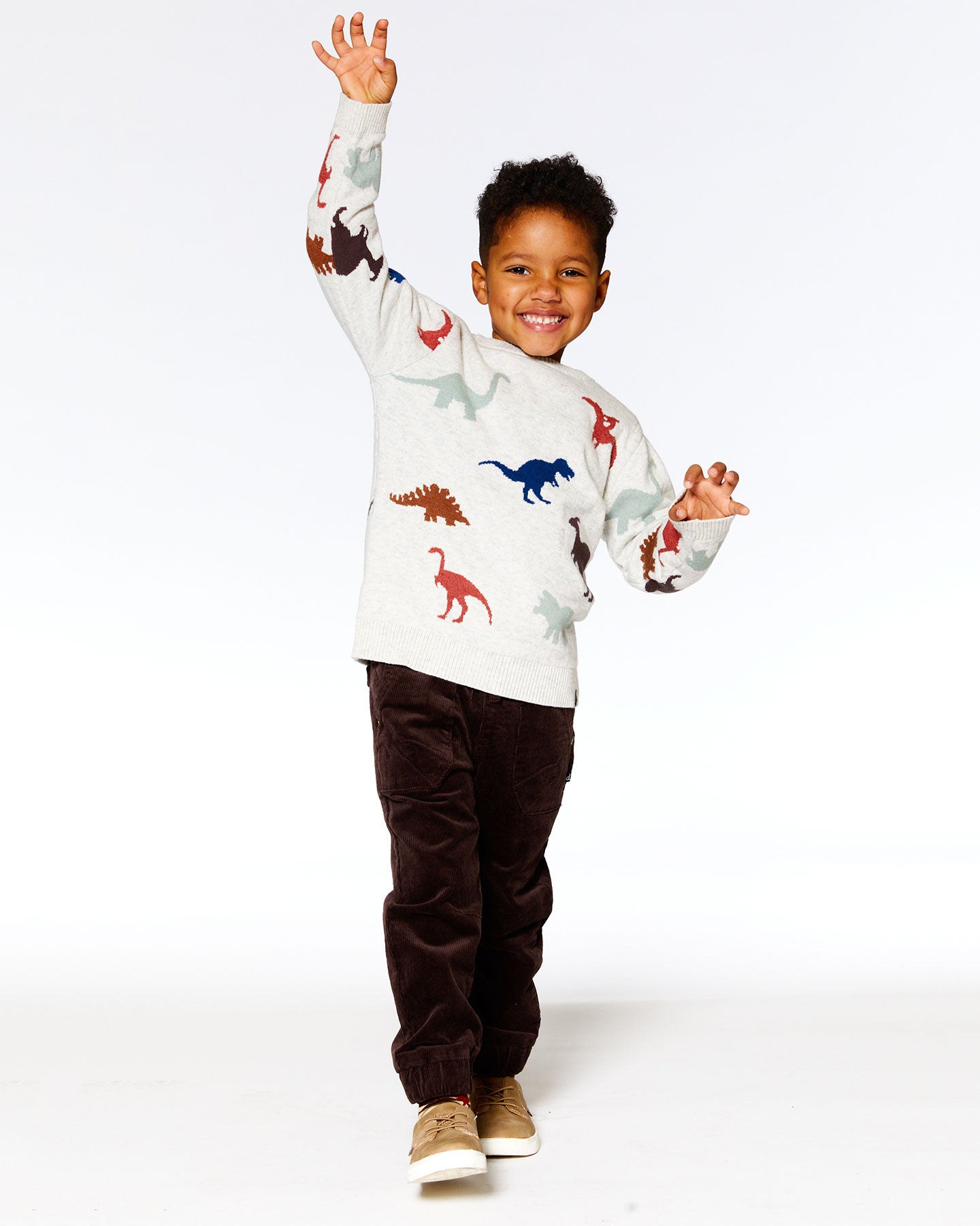 Dinosaurs Sweater
