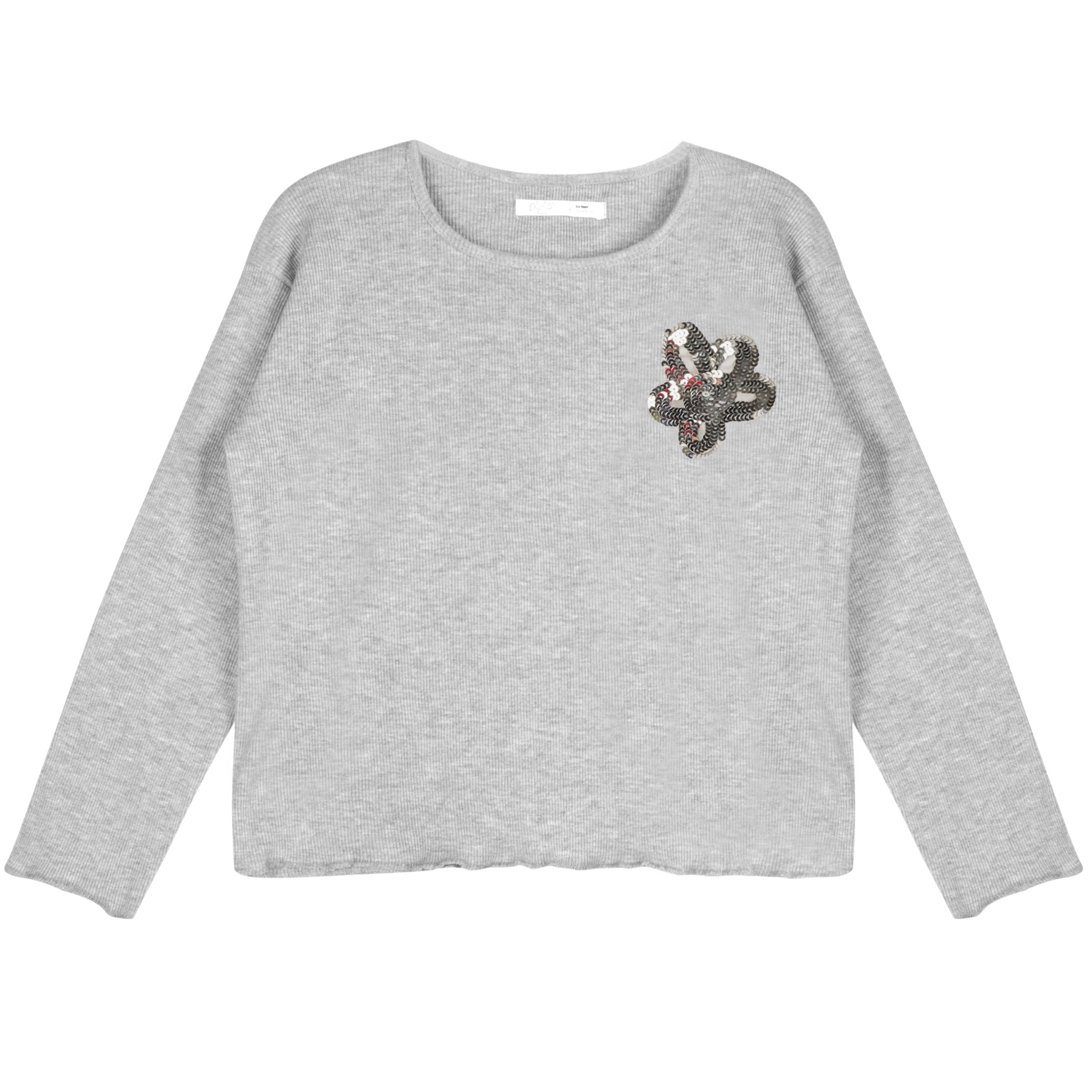 Grey Sequin Star Top