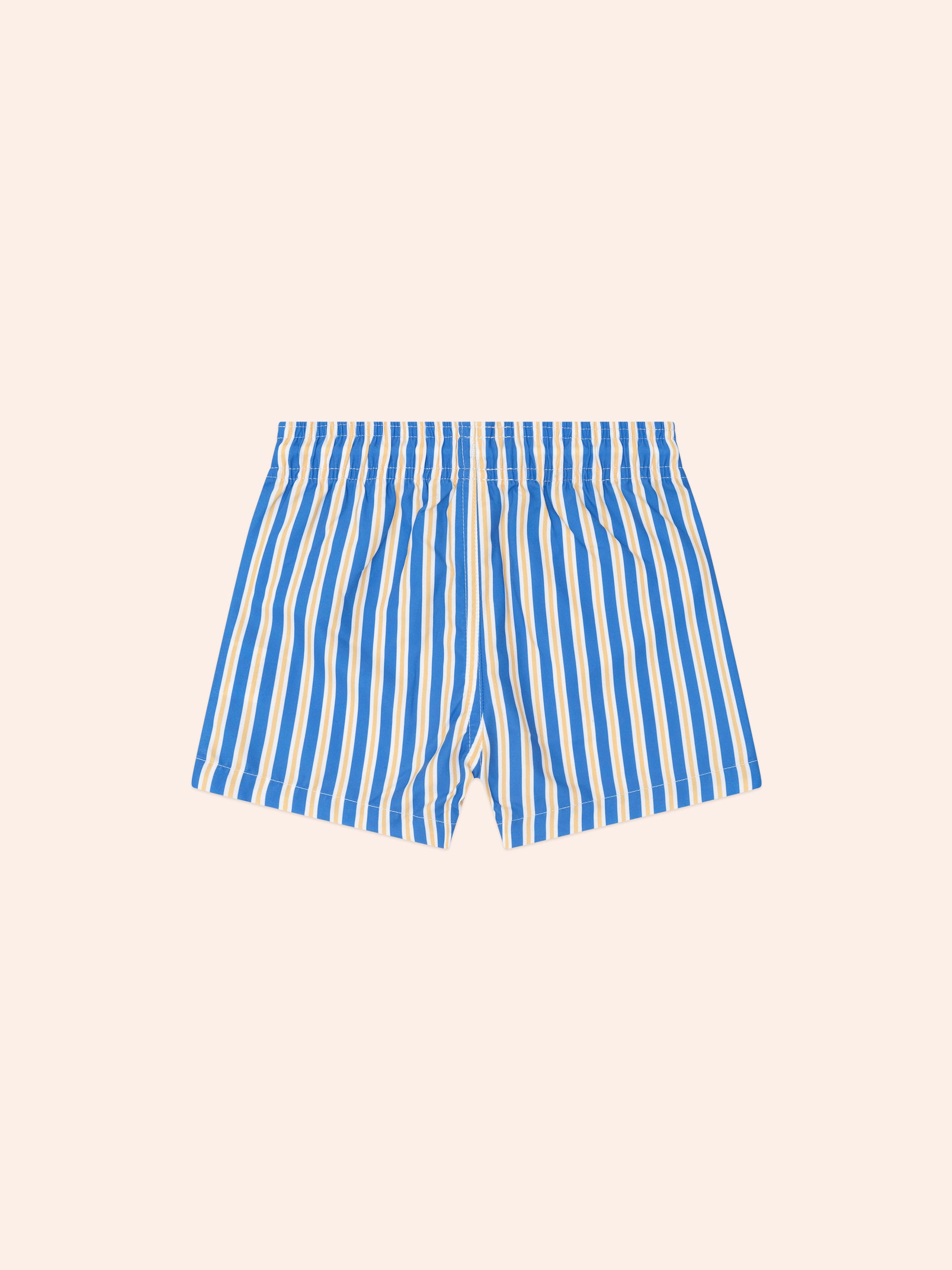 Collegiate Stripe Boardshort