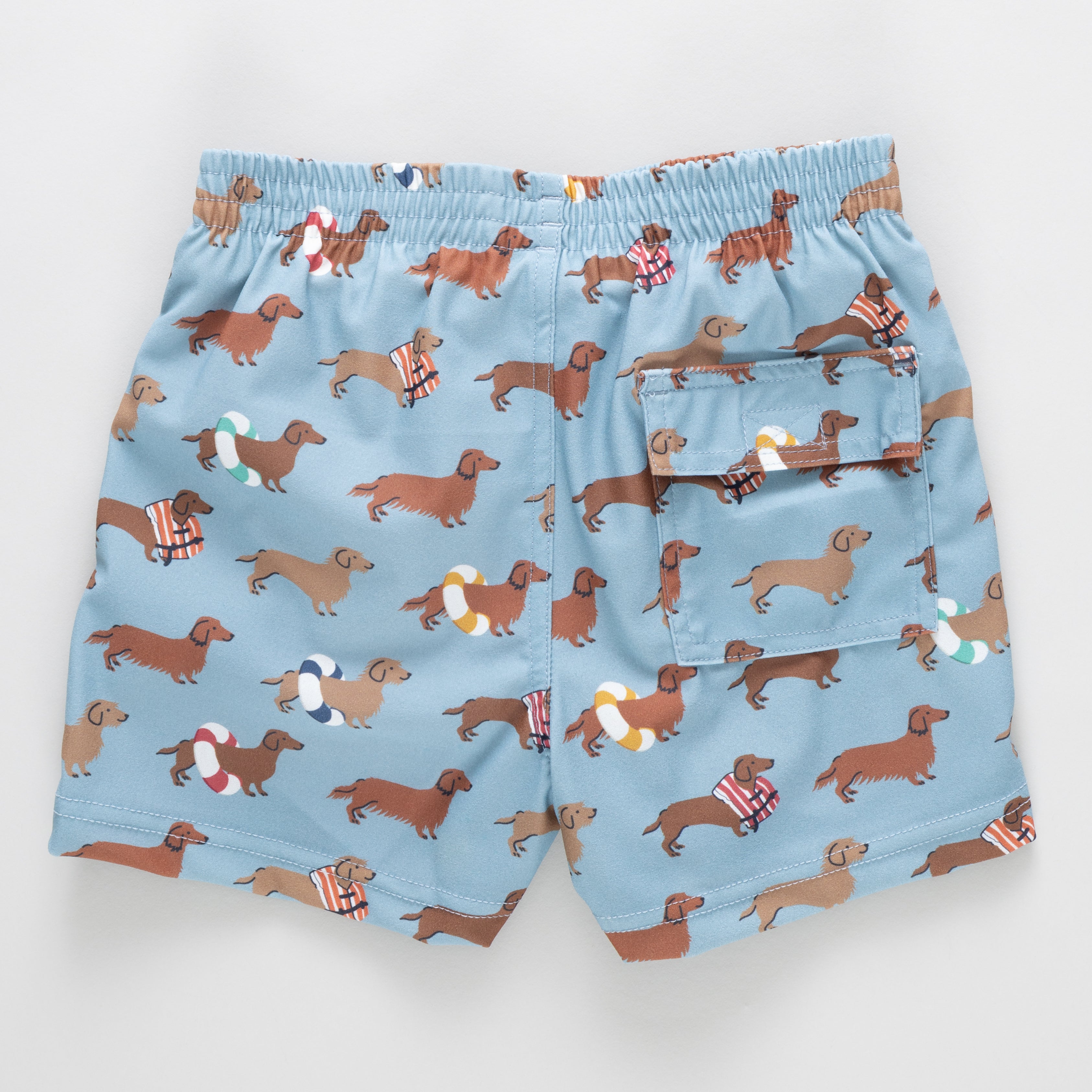 Dachshunds Swim Trunk