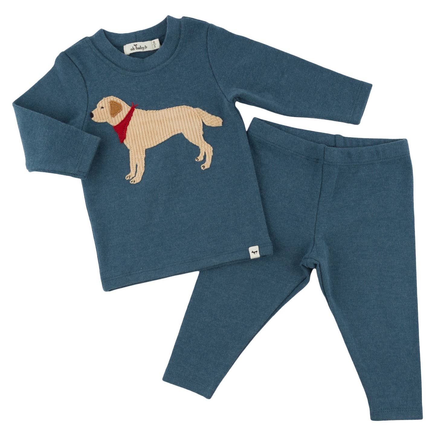 Lab Bandana 2pc Set